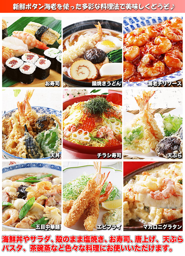 ボタンエビ 超 特大 1kg (14尾前後) 刺身 卵 子 持ち えび 海老 蝦 蛯 ぷりっと甘味ある新鮮急速凍結