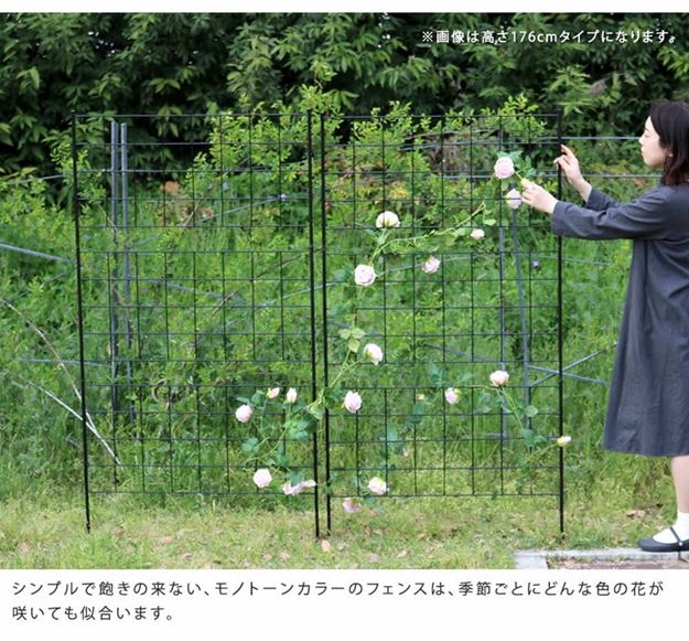 ガーデンフェンス アイアンフェンス DIY 挿し込み式 ロータイプ 幅88.5 高さ126cm 2枚組 グラフ グリーンカーテン ガーデンフェンス アイアンフェンス DIY 挿し込み式 ロータイプ 幅88.5 高さ126cm 2枚組 グラフ グリーンカーテン