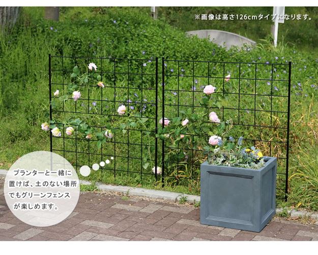 ガーデンフェンス アイアンフェンス DIY 挿し込み式 ロータイプ 幅88.5 高さ126cm 2枚組 グラフ グリーンカーテン ガーデンフェンス アイアンフェンス DIY 挿し込み式 ロータイプ 幅88.5 高さ126cm 2枚組 グラフ グリーンカーテン