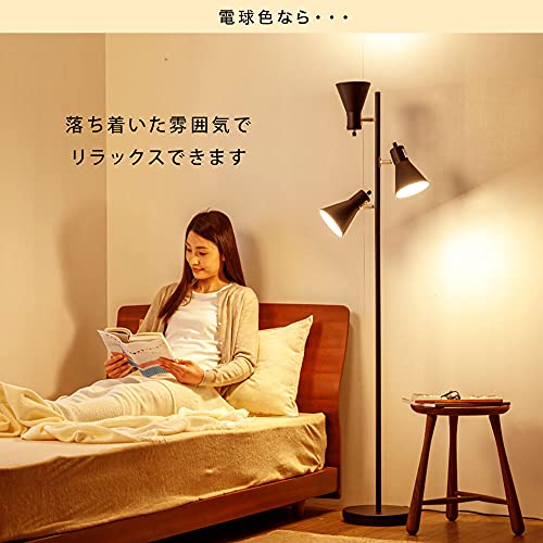 アイリスプラザ フロアライト スタンドライト 床おき 照明 北欧 読書灯