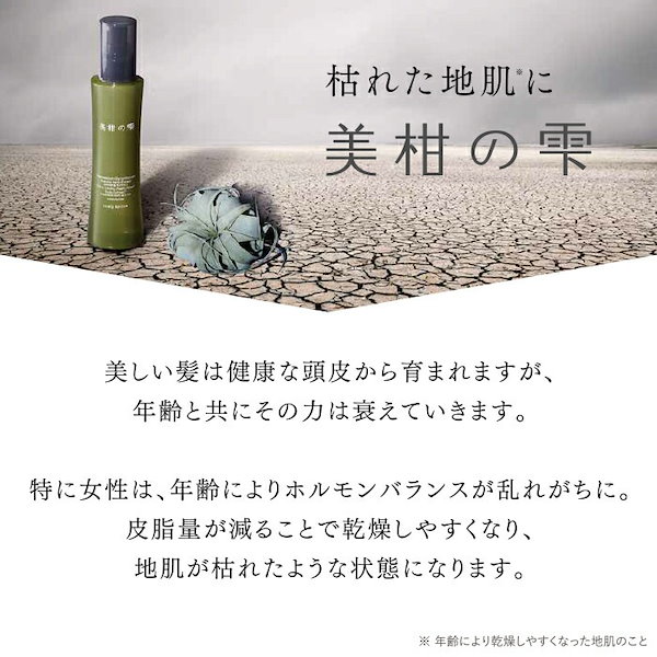 shizuku様　リリーフ　6個 shizuku様リリーフ6個