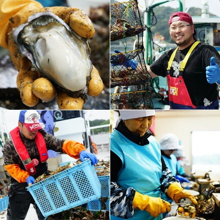 ソース オイスターソース 国産 気仙沼完熟牡蠣のオイスターソース 160g ６個セット