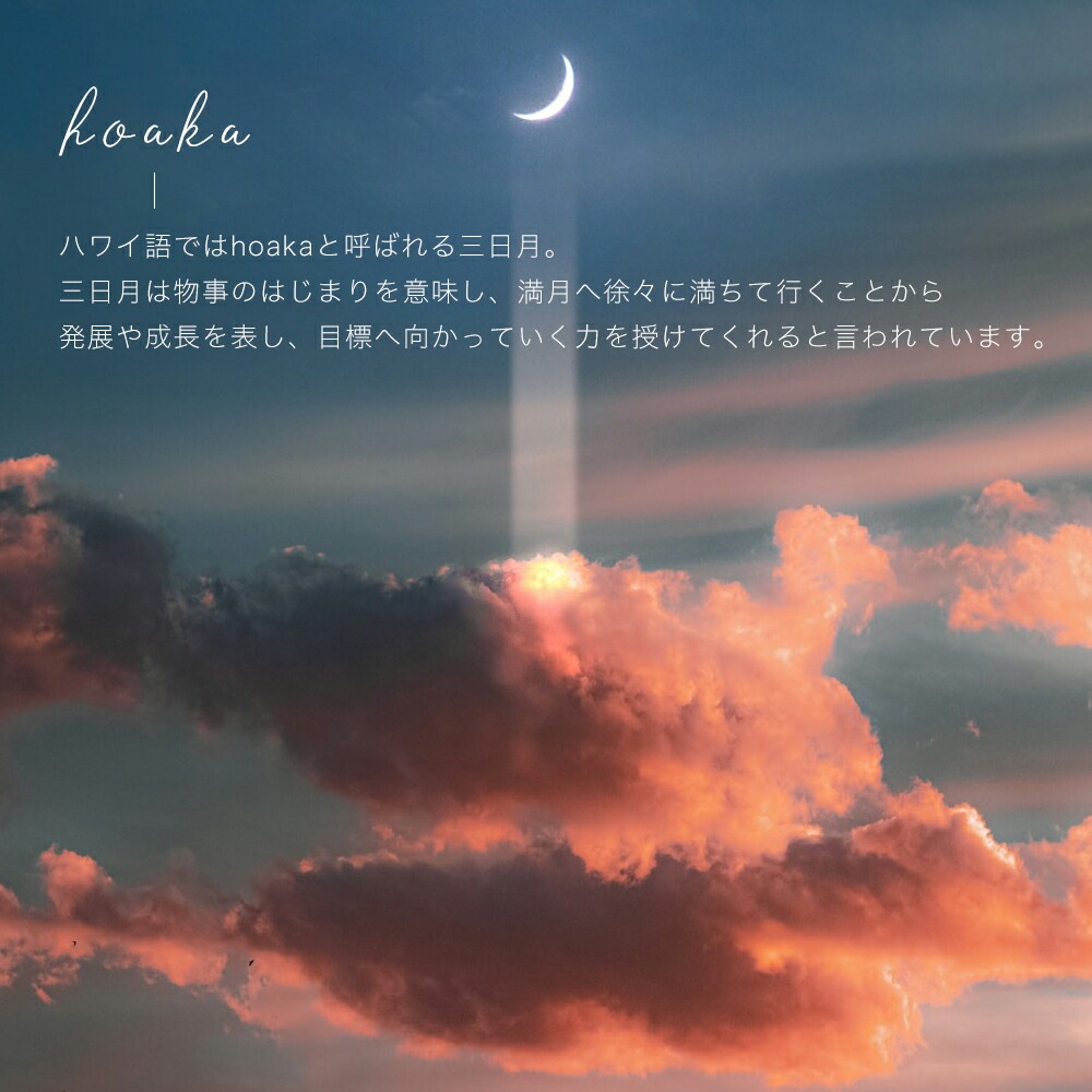 ハワイアンジュエリー ムーンネックレス ペンダント レディース メンズ ユニセックス ペア サージカルステンレス 金属アレルギー対応 低アレルギー シルバー ゴールド ピンクゴールド 三日月 星 ハワイアンジュエリー ムーンネックレス ペンダント レディース メンズ ユニセックス ペア サージカルステンレス 金属アレルギー対応 低アレルギー シルバー ゴールド ピンクゴールド 三日月 星