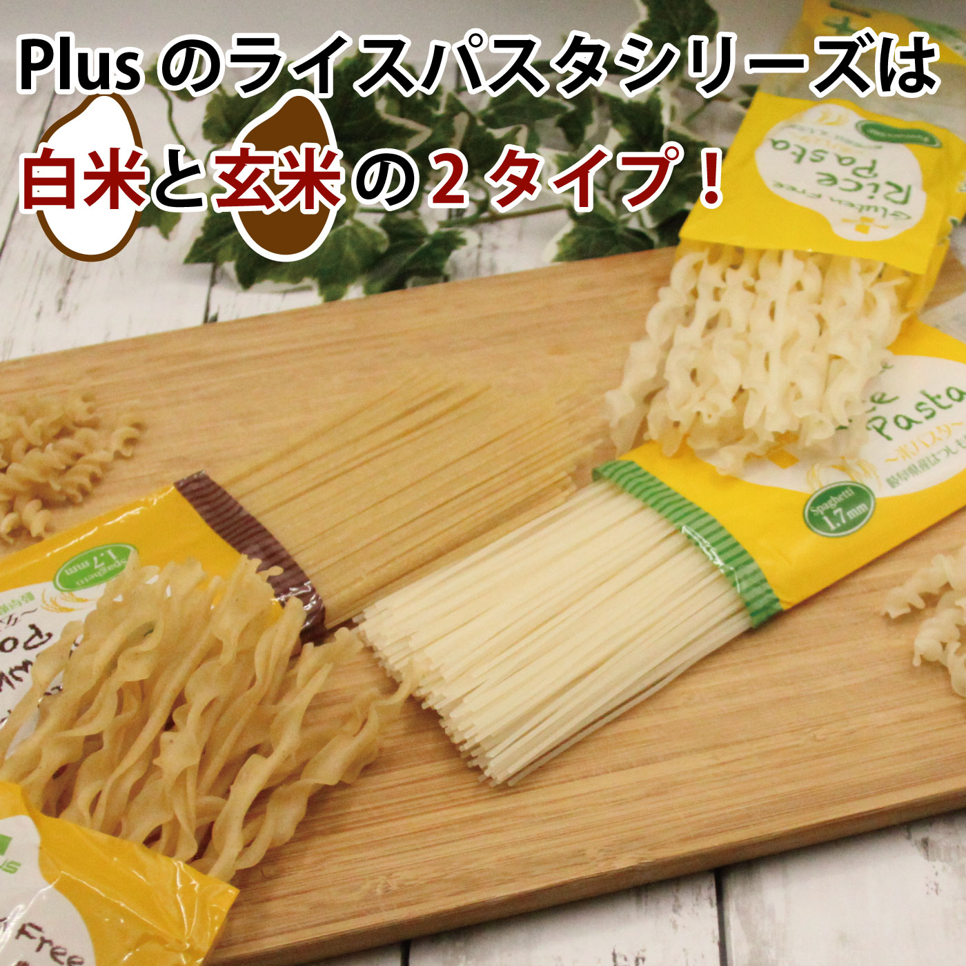 PLUS グルテンフリー ライスパスタ スパゲッティ 200g ×15 太さ1.3mm スパゲティ 小麦不使用 米粉麺 乾麺 国産