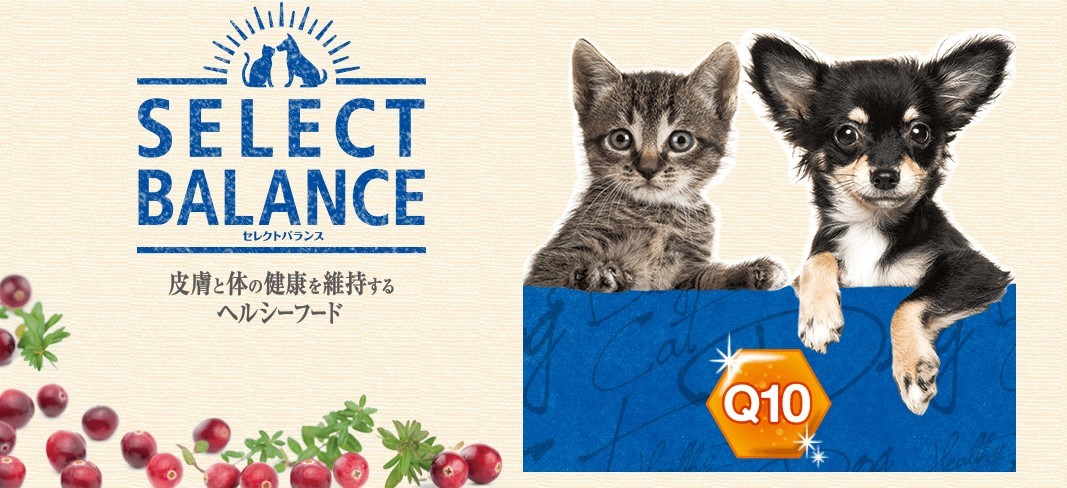 【プレゼント付】セレクトバランス スリム ラム 小粒 成犬の体重管理用 3kg【スマイルエッグ付】 【プレゼント付】セレクトバランス スリム ラム 小粒 成犬の体重管理用 3kg【スマイルエッグ付】