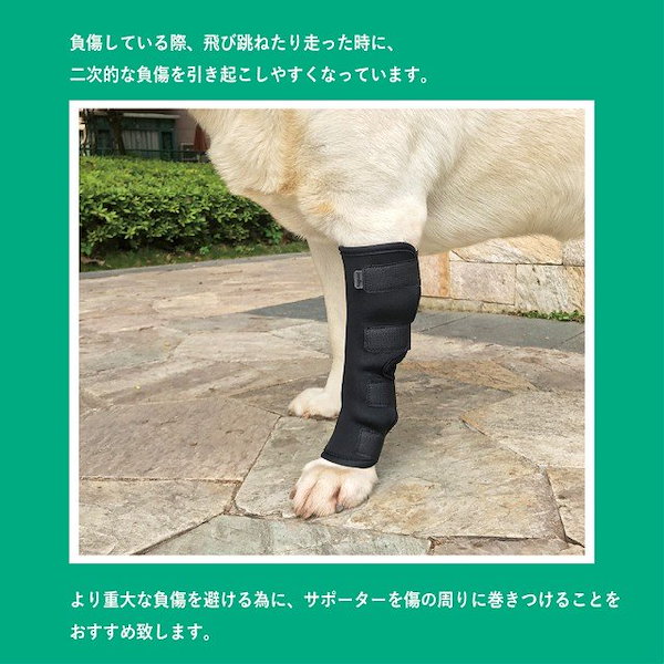 Qoo10] 犬用 ひざ サポーター 骨折治療 関節