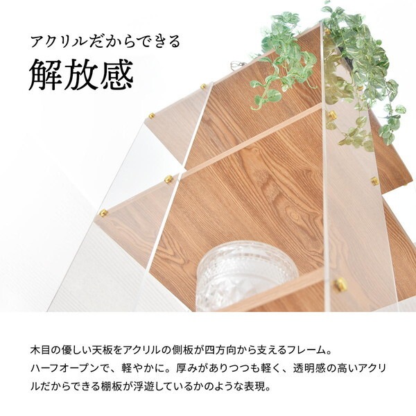 B.Bファニシング ONRC0339PLNAT ナチュラル アクリルラック 5段 メーカー直送