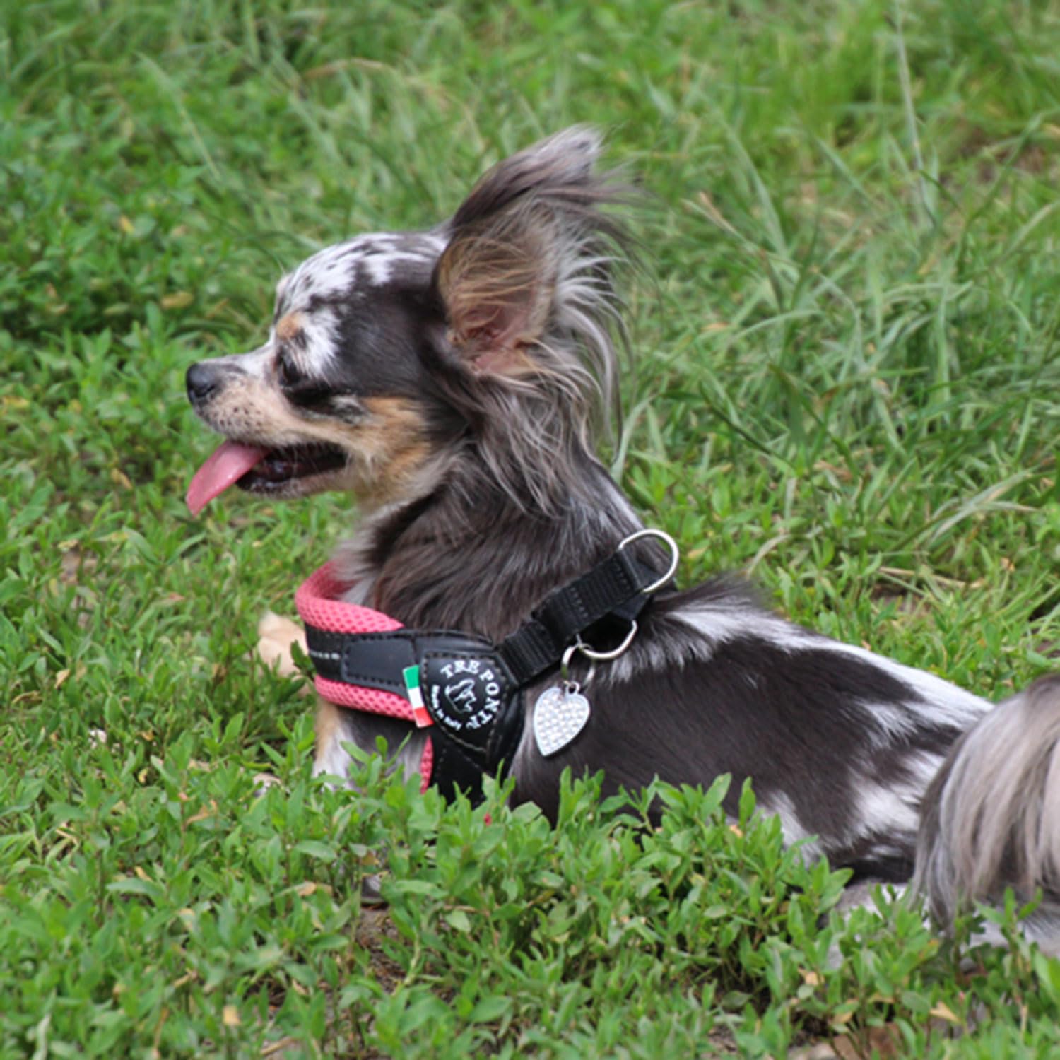 Tre Ponti (トレポンティ)Fibbia adjustable type SOFT MESH フィッビア ソフトメッシュ 調節可能 クッション性 通気性良し ハーネス 犬用 (LTP123) Tre Ponti (トレポンティ)Fibbia adjustable type SOFT MESH フィッビア ソフトメッシュ 調節可能 クッション性 通気性良し ハーネス 犬用 (LTP123)