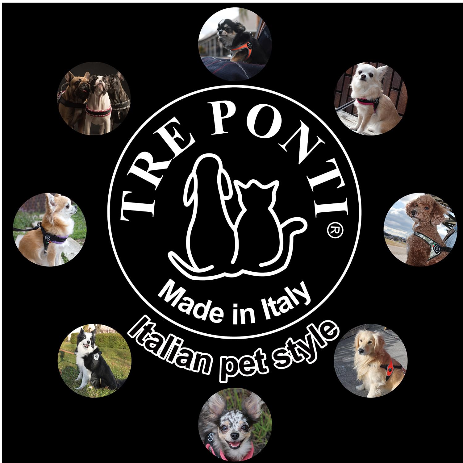 Tre Ponti (トレポンティ)Fibbia adjustable type SOFT MESH フィッビア ソフトメッシュ 調節可能 クッション性 通気性良し ハーネス 犬用 (LTP123) Tre Ponti (トレポンティ)Fibbia adjustable type SOFT MESH フィッビア ソフトメッシュ 調節可能 クッション性 通気性良し ハーネス 犬用 (LTP123)