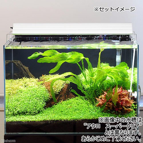 直接引き取り限定Aqullo 60cmガラス水槽 高透明 水槽セット