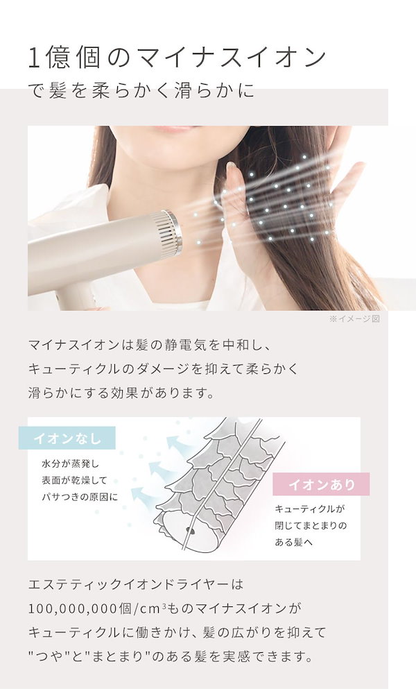 ANLIETTE エステティック・イオン・ドライヤー ESTHETIC ION DRYER （エステティックイオンドライヤー） | ANLIETTE
