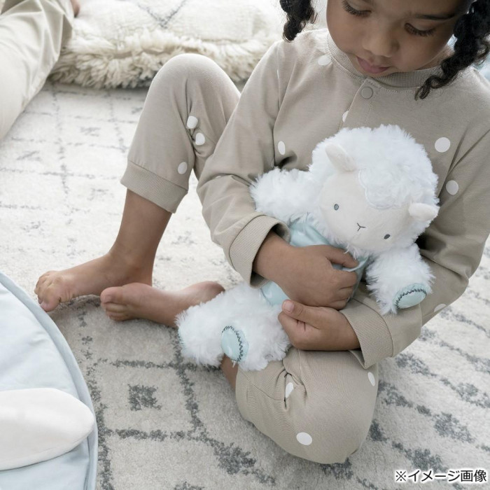 シープスポット・アクティビティジム 12470 シープスポット・アクティビティジム 12470