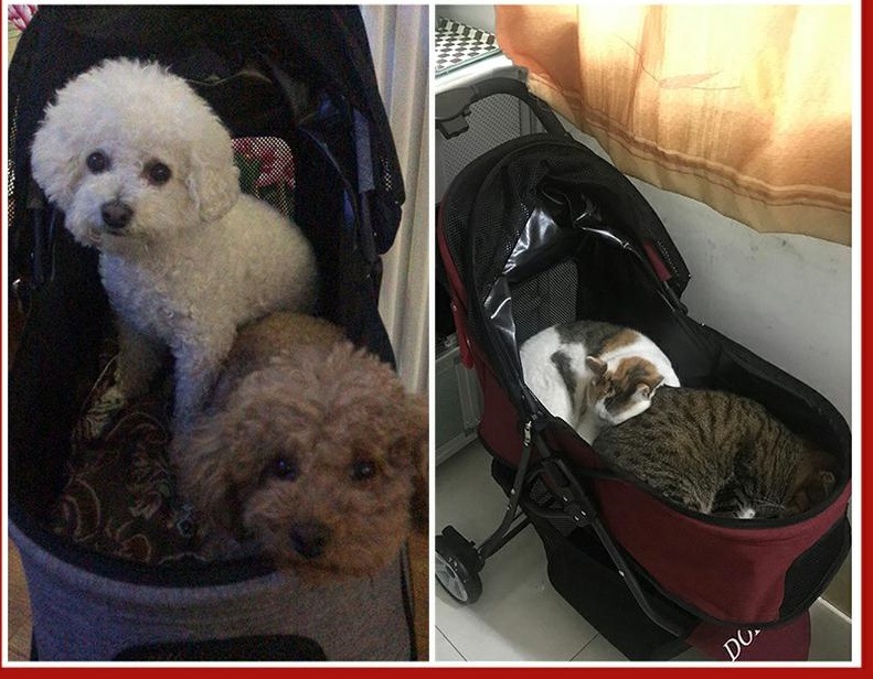 ペットカート 犬用ベビーカー 3way 折りたたみ 3輪 対面推し可能 猫 犬 カート バギー 小型