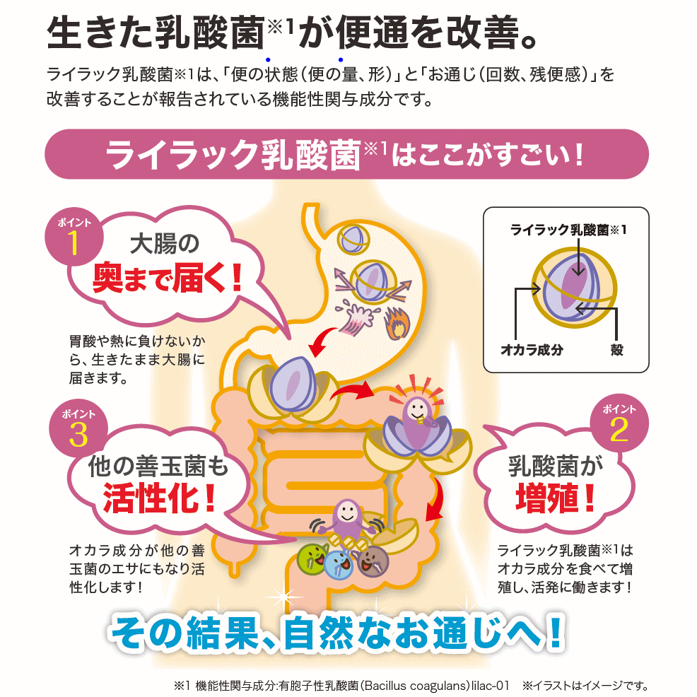 ライラック01乳酸菌 191mg60粒 2袋セット