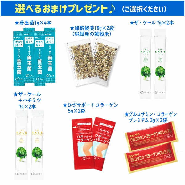 ライラック01乳酸菌 191mg60粒 2袋セット