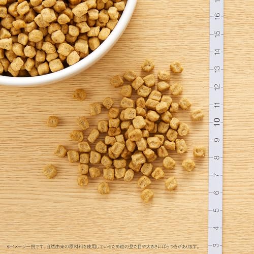 Nutro ニュートロ ナチュラルチョイス 避妊・去勢犬用 超小型犬~小型犬用 エイジングケア チキン&玄米 3kg ドッグフード Nutro ニュートロ ナチュラルチョイス 避妊・去勢犬用 超小型犬~小型犬用 エイジングケア チキン&玄米 3kg ドッグフード