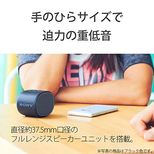 ソニー(SONY) ワイヤレスポータブルスピーカー SRS-XB01 B] : 防水 Bluetooth スマホなしで操作可能 ストラップ付属 2018年モデル / マイク付き/ ブラック
