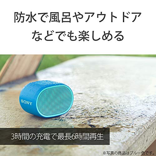 ソニー(SONY) ワイヤレスポータブルスピーカー SRS-XB01 B] : 防水 Bluetooth スマホなしで操作可能 ストラップ付属 2018年モデル / マイク付き/ ブラック