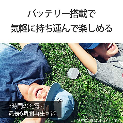 ソニー(SONY) ワイヤレスポータブルスピーカー SRS-XB01 B] : 防水 Bluetooth スマホなしで操作可能 ストラップ付属 2018年モデル / マイク付き/ ブラック