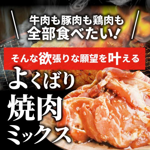 焼肉 ざんまい 牛豚鶏よくばり焼肉ミックス 5kg(500g×10) おトク お徳用 肉 通販 お取り寄せ グルメ アウトドア レジャー 焼肉 ざんまい 牛豚鶏よくばり焼肉ミックス 5kg(500g×10) おトク お徳用 肉 通販 お取り寄せ グルメ アウトドア レジャー