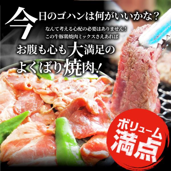 焼肉 ざんまい 牛豚鶏よくばり焼肉ミックス 5kg(500g×10) おトク お徳用 肉 通販 お取り寄せ グルメ アウトドア レジャー 焼肉 ざんまい 牛豚鶏よくばり焼肉ミックス 5kg(500g×10) おトク お徳用 肉 通販 お取り寄せ グルメ アウトドア レジャー