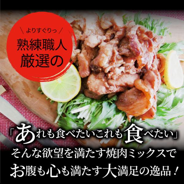 焼肉 ざんまい 牛豚鶏よくばり焼肉ミックス 5kg(500g×10) おトク お徳用 肉 通販 お取り寄せ グルメ アウトドア レジャー 焼肉 ざんまい 牛豚鶏よくばり焼肉ミックス 5kg(500g×10) おトク お徳用 肉 通販 お取り寄せ グルメ アウトドア レジャー