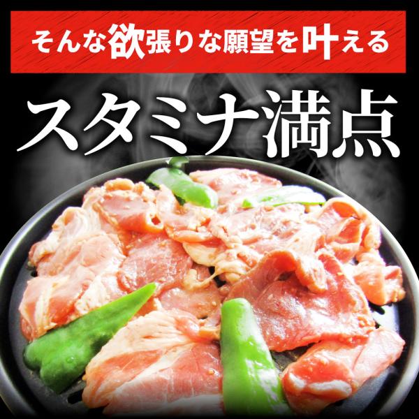 焼肉 ざんまい 牛豚鶏よくばり焼肉ミックス 5kg(500g×10) おトク お徳用 肉 通販 お取り寄せ グルメ アウトドア レジャー 焼肉 ざんまい 牛豚鶏よくばり焼肉ミックス 5kg(500g×10) おトク お徳用 肉 通販 お取り寄せ グルメ アウトドア レジャー