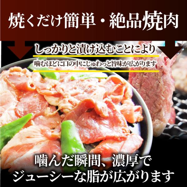 焼肉 ざんまい 牛豚鶏よくばり焼肉ミックス 5kg(500g×10) おトク お徳用 肉 通販 お取り寄せ グルメ アウトドア レジャー 焼肉 ざんまい 牛豚鶏よくばり焼肉ミックス 5kg(500g×10) おトク お徳用 肉 通販 お取り寄せ グルメ アウトドア レジャー