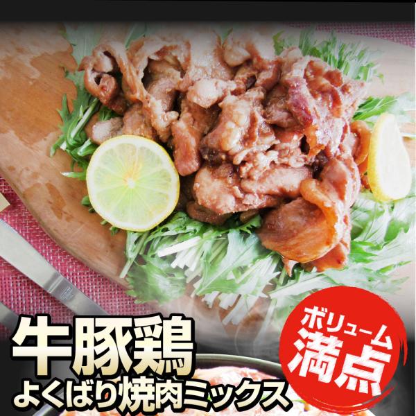 焼肉 ざんまい 牛豚鶏よくばり焼肉ミックス 5kg(500g×10) おトク お徳用 肉 通販 お取り寄せ グルメ アウトドア レジャー 焼肉 ざんまい 牛豚鶏よくばり焼肉ミックス 5kg(500g×10) おトク お徳用 肉 通販 お取り寄せ グルメ アウトドア レジャー