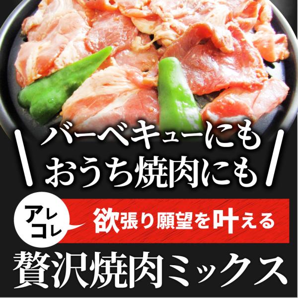 焼肉 ざんまい 牛豚鶏よくばり焼肉ミックス 5kg(500g×10) おトク お徳用 肉 通販 お取り寄せ グルメ アウトドア レジャー 焼肉 ざんまい 牛豚鶏よくばり焼肉ミックス 5kg(500g×10) おトク お徳用 肉 通販 お取り寄せ グルメ アウトドア レジャー