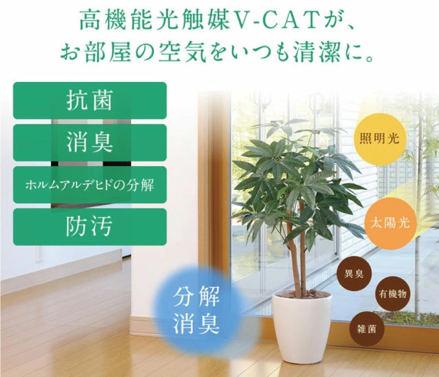光触媒 コーヒーツリー1.82... : ガーデニング・DIY・工具 光の楽園 定番最安値