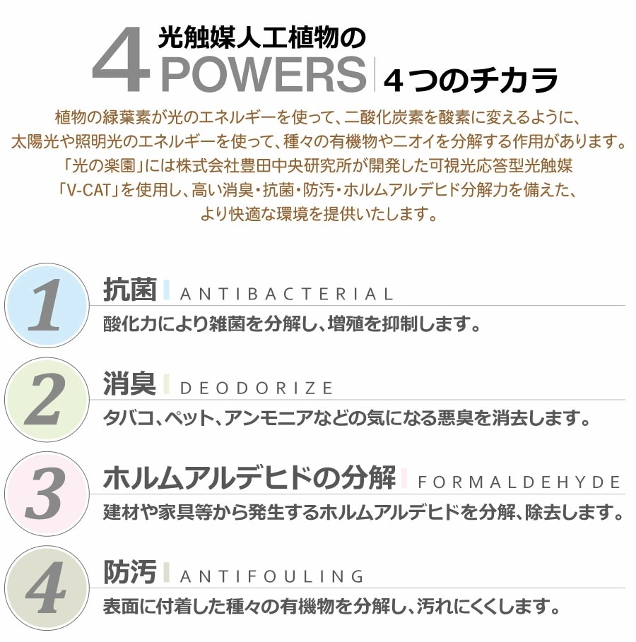 光触媒 コーヒーツリー1.82... : ガーデニング・DIY・工具 光の楽園 定番最安値