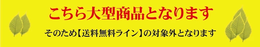光触媒 コーヒーツリー1.82... : ガーデニング・DIY・工具 光の楽園 定番最安値