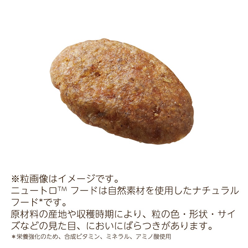 いぬ様 ESTIVO スノボウエア スキーウエア セット