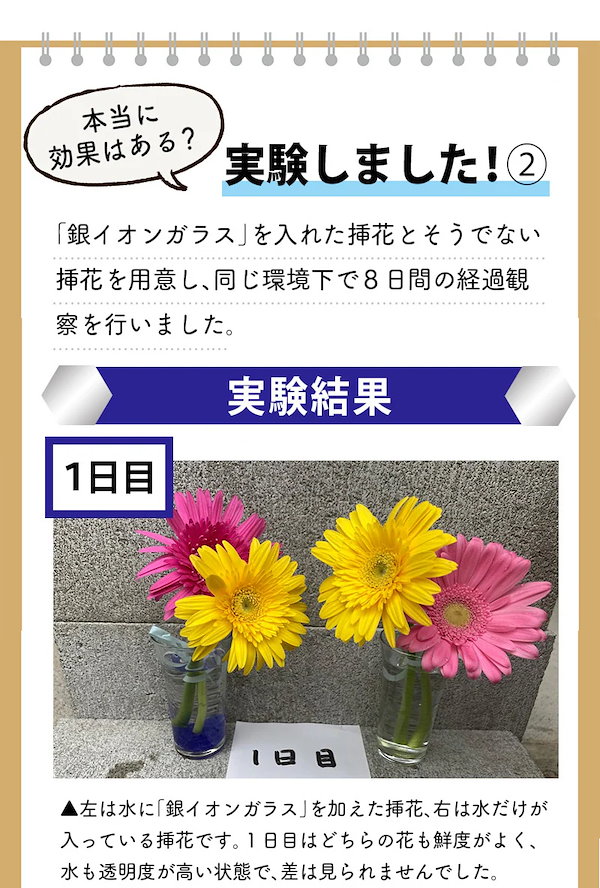 銀イオンガラス 100g 銀イオンが湧出する不思議なガラス　銀イオン生成ガラスAg+　ガラス系抗菌剤　 無機系抗菌ガラス　水に入れると銀イオン水が  ウイルス対策 使い方 無限 加湿器 除湿機 台所ぬめ