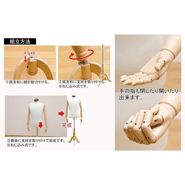 Qoo10] トルソー 男性用 メンズ アームあり 腕