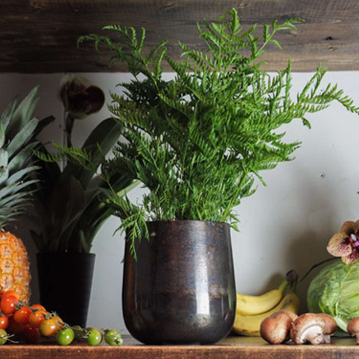 植木鉢 AM4ベース アルミ 直径15x高さ16cm プラントポット 植物用ポット 花器 鉢カバー ポット 花瓶 丸 植木鉢カバー プラスチック 植物 花 観葉植物 園芸 インテリア 底穴なし