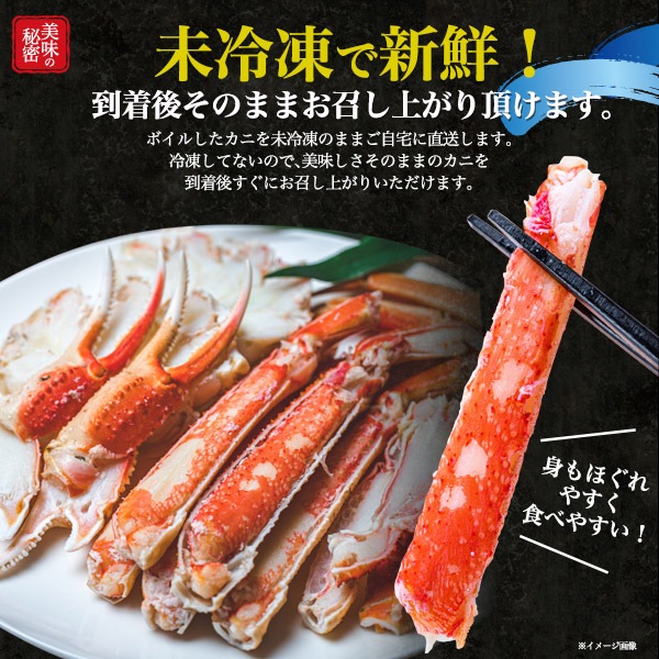 冷蔵　最上級 特A級品　茹で 紅ズワイガニ　姿　1杯　600g前後　国産 境港 産地直送　ボイル済み 蟹 かに　カニ 冬の味覚