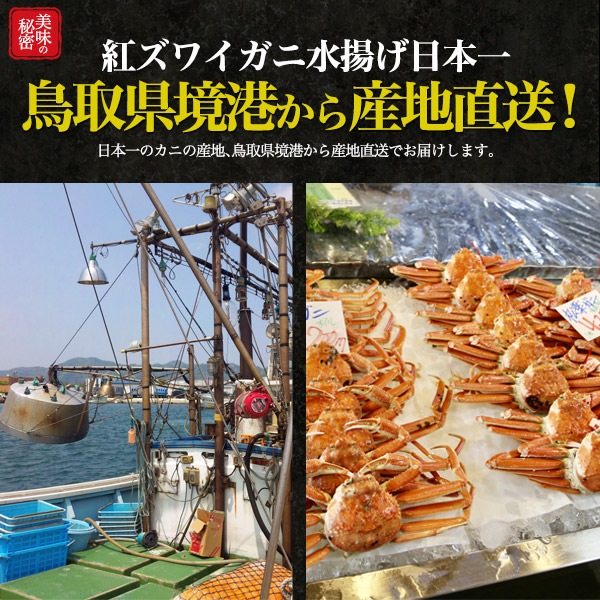 冷蔵　最上級 特A級品　茹で 紅ズワイガニ　姿　1杯　600g前後　国産 境港 産地直送　ボイル済み 蟹 かに　カニ 冬の味覚