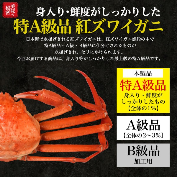 冷蔵　最上級 特A級品　茹で 紅ズワイガニ　姿　1杯　600g前後　国産 境港 産地直送　ボイル済み 蟹 かに　カニ 冬の味覚