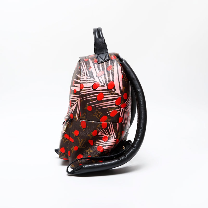 リュック・デイパック ブラウン WS20646 リュック・デイパック ブラウン WS20646