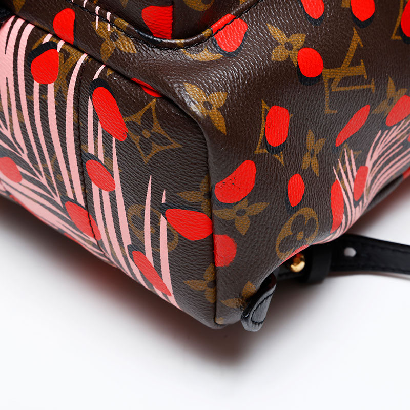 リュック・デイパック ブラウン WS20646 リュック・デイパック ブラウン WS20646