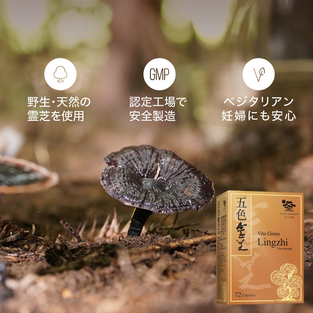 五色霊芝 [新パッケージ] キノコ 霊芝 天然霊芝のみ使用 6種類の霊芝 アミノ酸 サプリメント 健康食品 目安1日1~2粒 microcode.computerscienceprogrammer.com