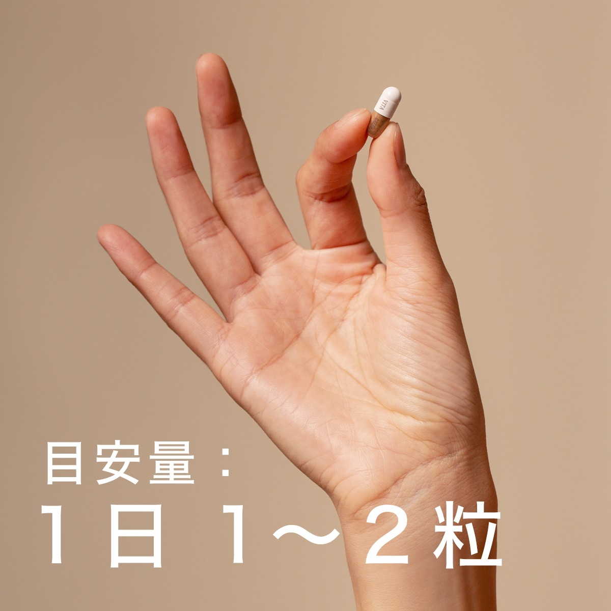 五色霊芝 [新パッケージ] キノコ 霊芝 天然霊芝のみ使用 6種類の霊芝 アミノ酸 サプリメント 健康食品 目安1日1~2粒 microcode.computerscienceprogrammer.com