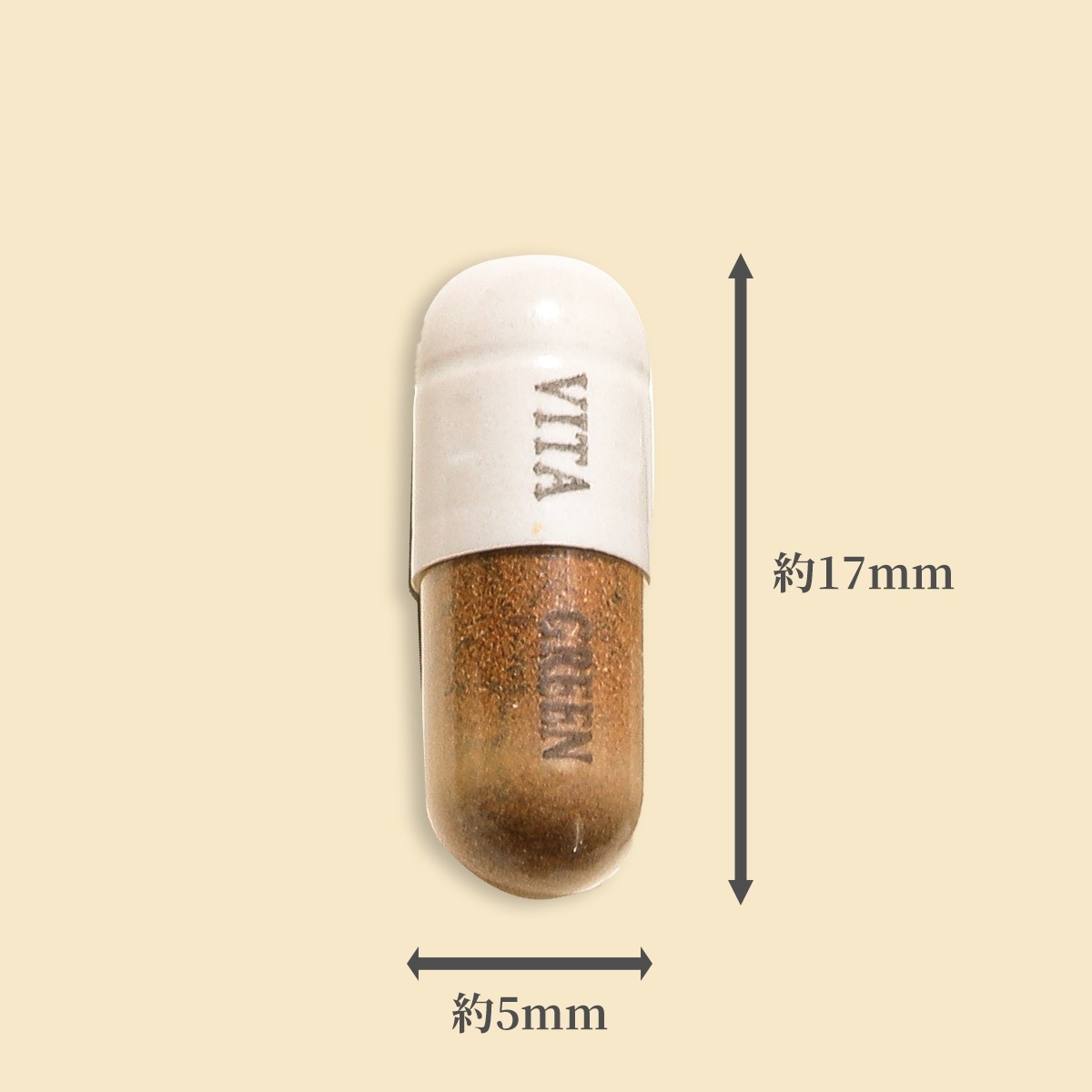 五色霊芝 [新パッケージ] キノコ 霊芝 天然霊芝のみ使用 6種類の霊芝 アミノ酸 サプリメント 健康食品 目安1日1~2粒 microcode.computerscienceprogrammer.com