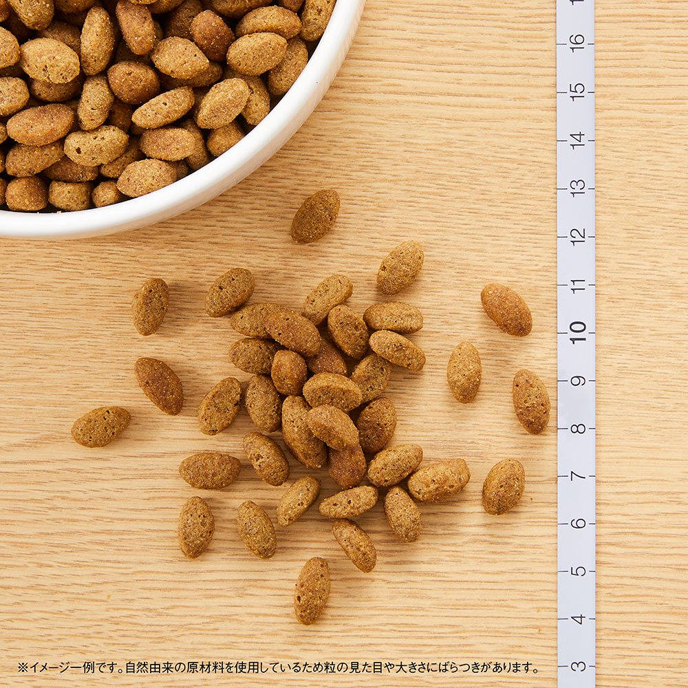 ニュートロ　超小型犬ー小型犬用　シニア犬用（エイジングケア）　３ｋｇ　お一人様５点限り　ＣＲＣ45―02―53―10―00