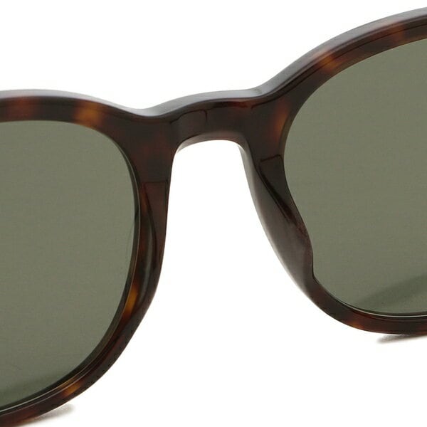 サングラス インターナショナルフィット ブラウン メンズ レディース ユニセックス SAINT LAURENT PARIS SL620 002 mdprevattcaulkingandwaterproofing.com