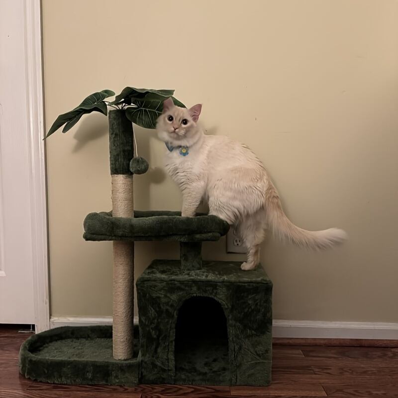 キャットタワー ツリー デザイン おしゃれ かわいい 爪とぎ 付き ペット用品 ペット ベッド 猫 猫ベッド 白 ホワイト グリーン グレー 4-7