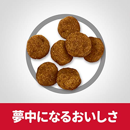 サイエンスダイエット ドッグフード 成犬 小粒 16歳まで チキン 12kg