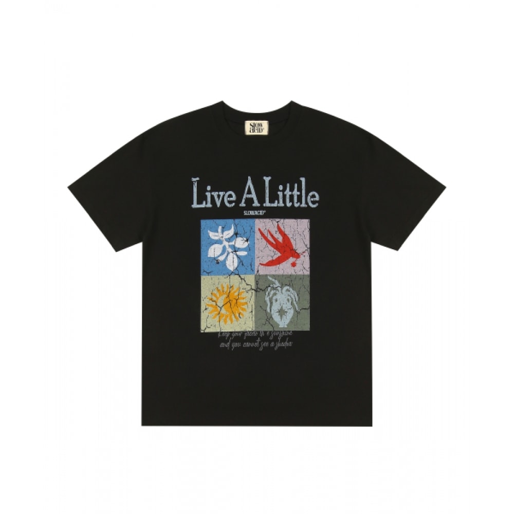 スローアシッドサマーフレーム半袖Tシャツ [ブラック]